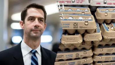 Cotton moves to loosen egg rules in bid to boost supply, ease affordability crunch