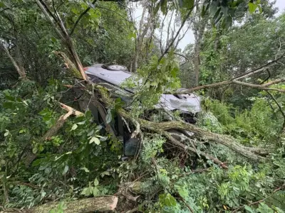 Car leaves I-95, ends up in tree in Newburyport