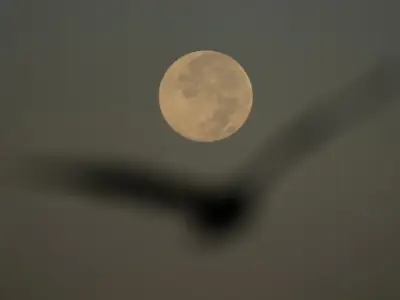 How to spot November’s supermoon, the closest of the year