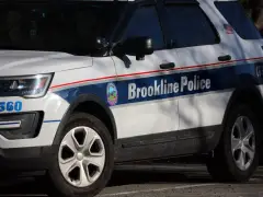 Harvard law professor who fired pellet gun near temple takes a plea deal