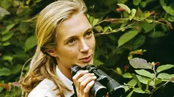 Jane Goodall’s cause of death revealed weeks after beloved primatologist dies at 91