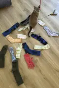 A cat named Leonardo da Pinchy doesn’t want your affection. He wants to steal your underwear