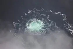 Italian court approves extradition to Germany of Ukrainian suspect in Nord Stream pipeline blast