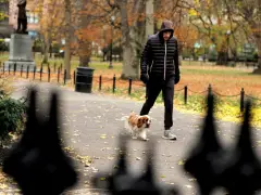 Here’s what Boston meteorologists are saying about the forecast for Thanksgiving