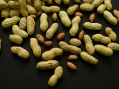 Advice to feed babies peanuts early and often helped 60,000 kids avoid allergies, study finds