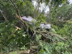 Car leaves I-95, ends up in tree in Newburyport